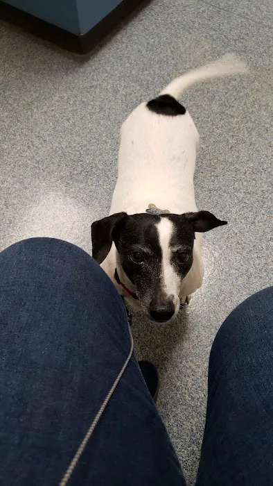Michigan Humane Veterinary Center Picture 5