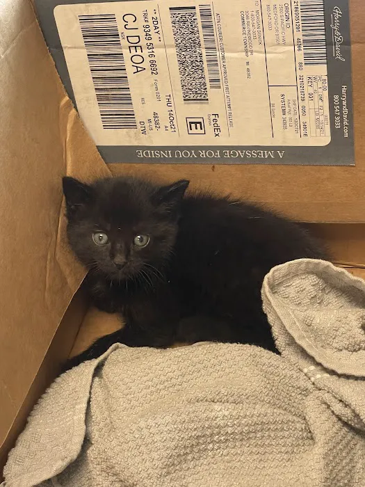 Michigan Humane Veterinary Center Picture 8