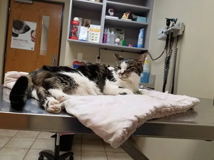 Cherry Hill Animal Clinic Picture 9