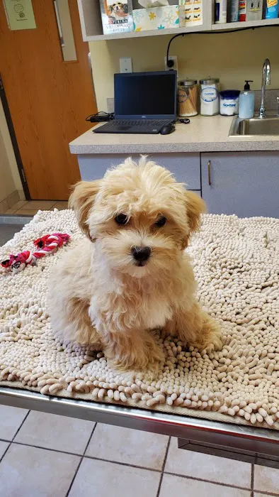 Cherry Hill Animal Clinic Picture 7