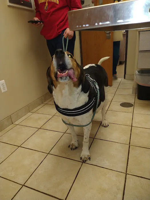 Cherry Hill Animal Clinic Picture 8