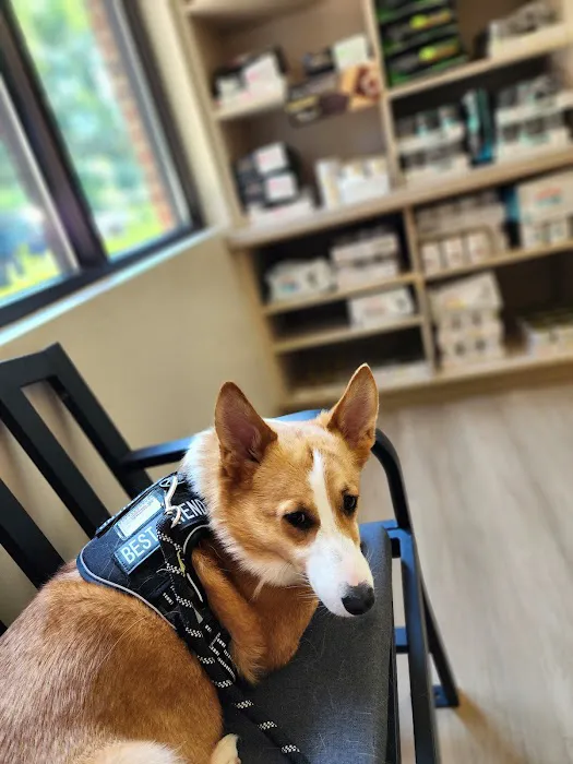 Cherry Hill Animal Clinic Picture 3