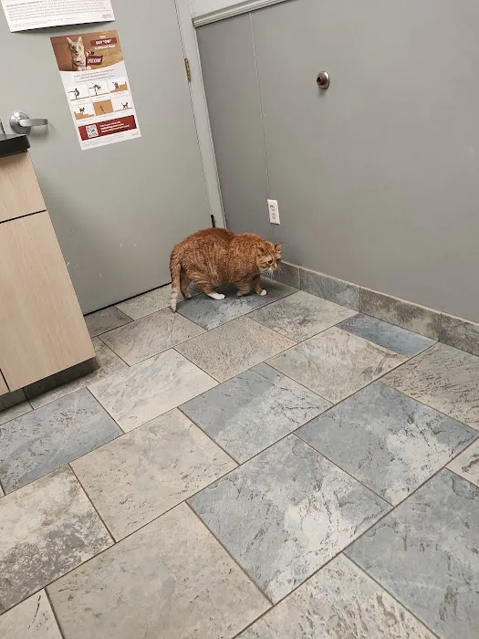 Southpointe Veterinary Hospital Picture 8