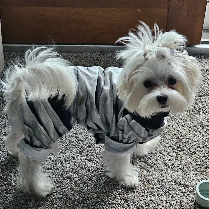 Southpointe Veterinary Hospital Picture 7