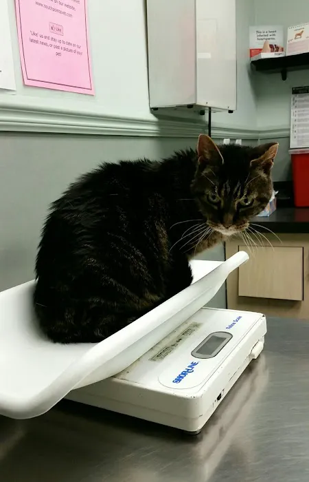 Southpointe Veterinary Hospital Picture 4