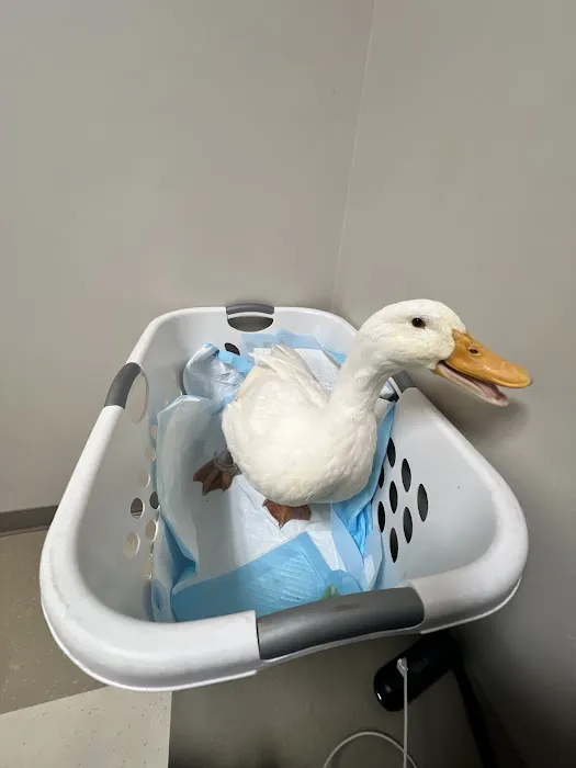 Southgate Animal Hospital Picture 1