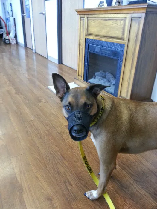 Southgate Animal Hospital Picture 7