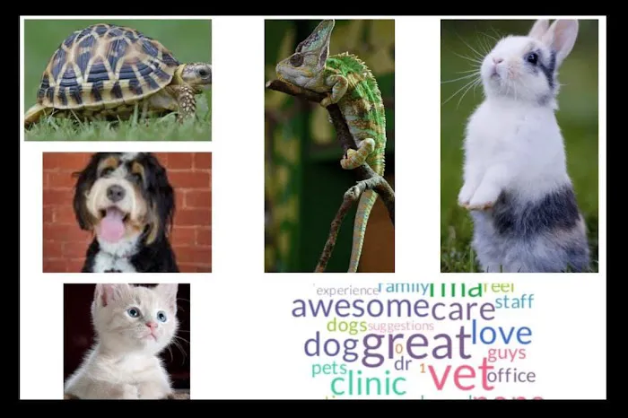 Southgate Animal Hospital Picture 5