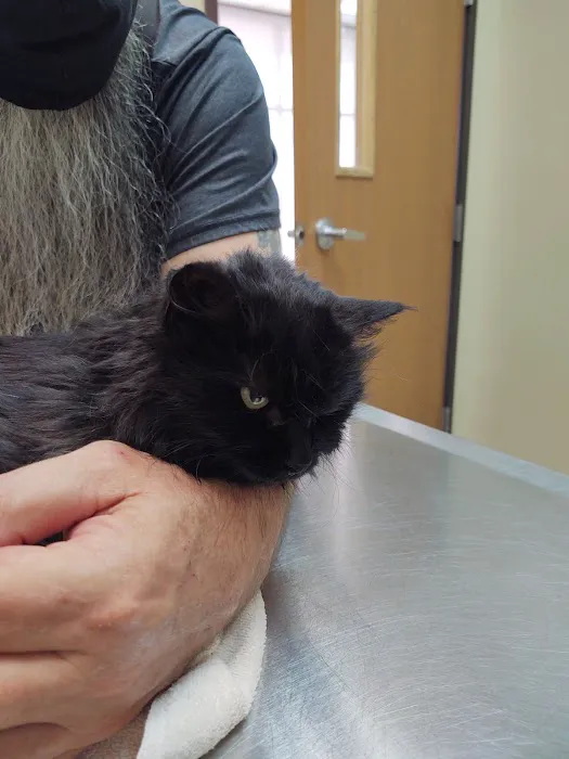 Angel Animal Hospital Of Southgate Picture 9