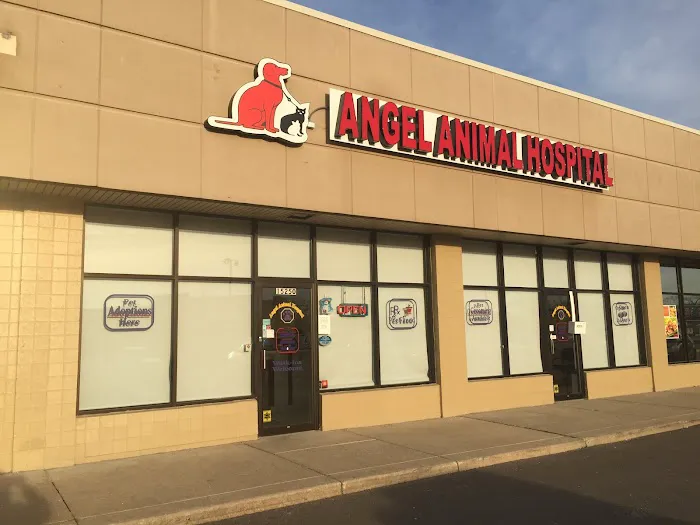 Angel Animal Hospital Of Southgate Picture 4