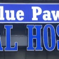Blue Paws Animal Hospital ico