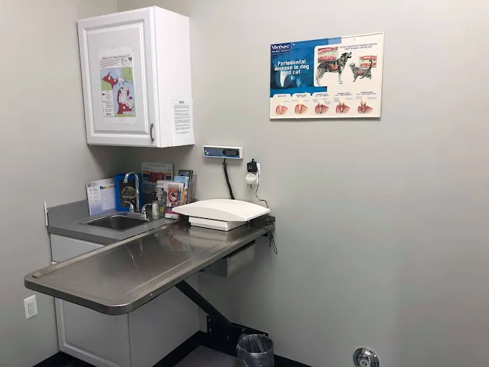 Blue Paws Animal Hospital Picture 6