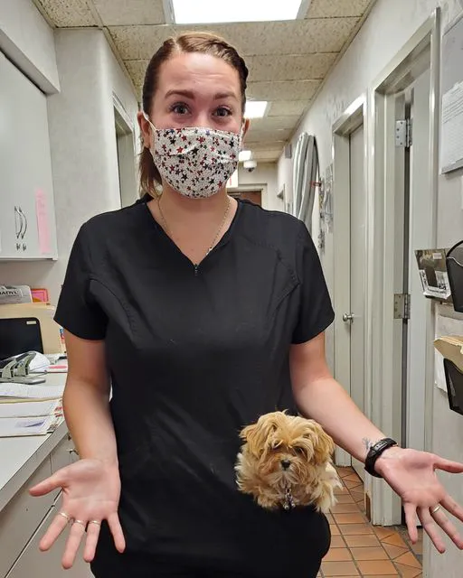 Levan Road Veterinary Hospital Picture 4
