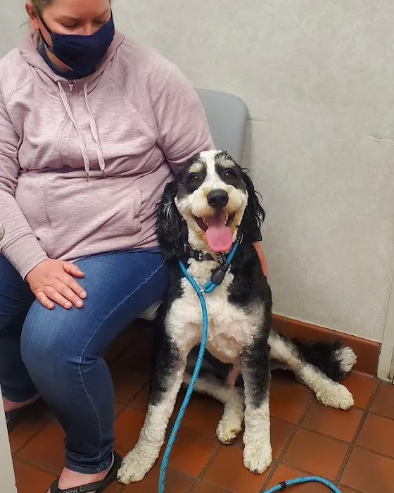 Levan Road Veterinary Hospital Picture 2