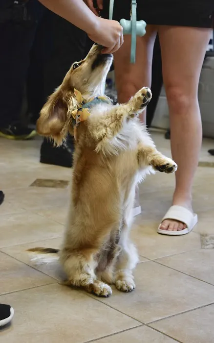 Healthy Paws Veterinary Care Center Picture 2