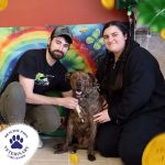 Healthy Paws Veterinary Care Center
