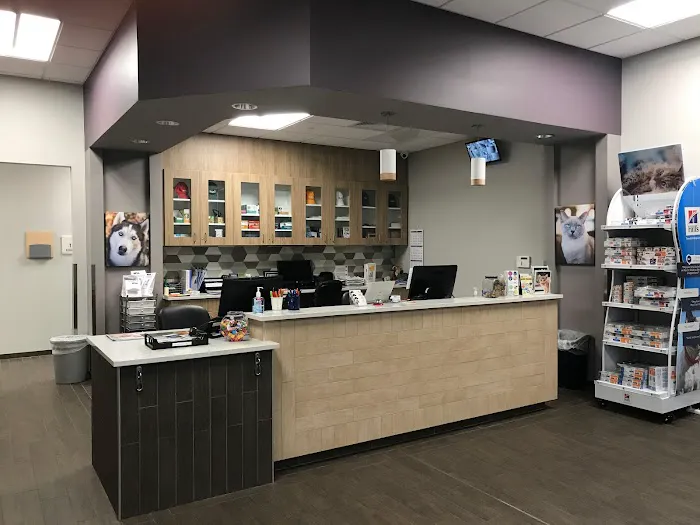 VCA Farmington Hills Animal Hospital Picture 3