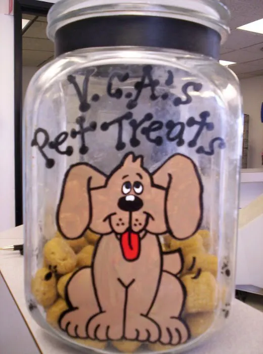 VCA Farmington Hills Animal Hospital Picture 5