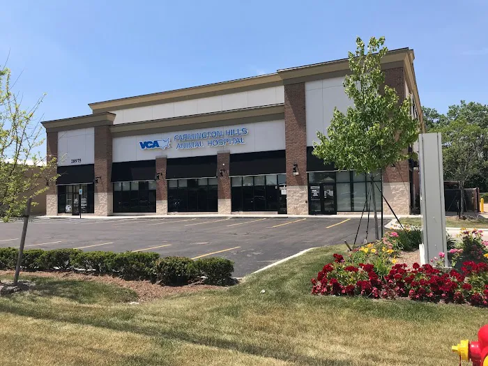 VCA Farmington Hills Animal Hospital Picture 10