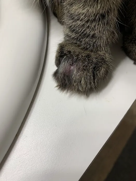 Companion Care Veterinary Hospital Picture 1