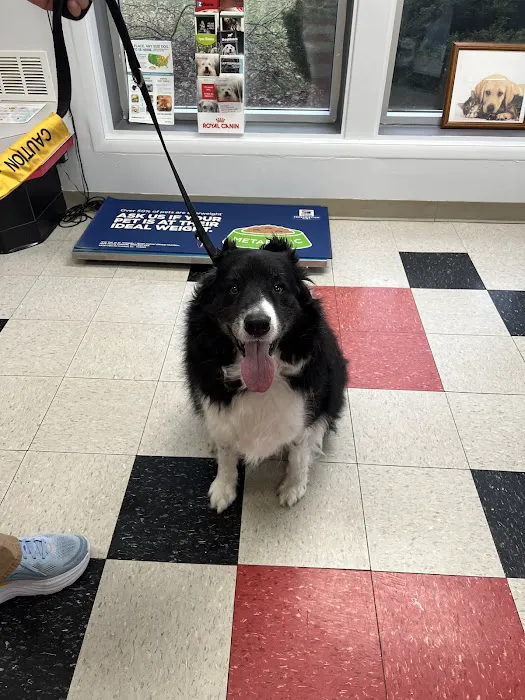 Companion Care Veterinary Hospital Picture 2