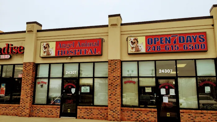 Angel Animal Hospital Picture 9