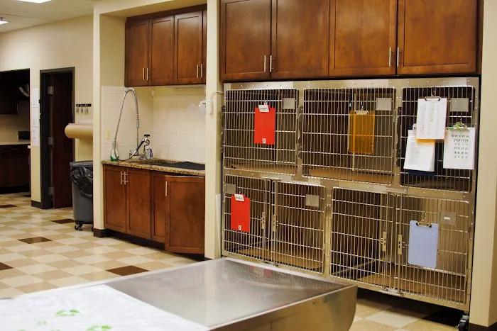 Oakland Hills Veterinary Hospital Picture 7