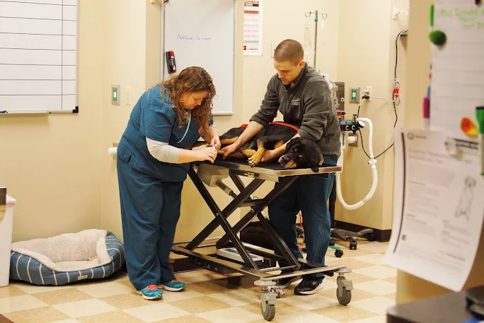 Oakland Hills Veterinary Hospital Picture 3
