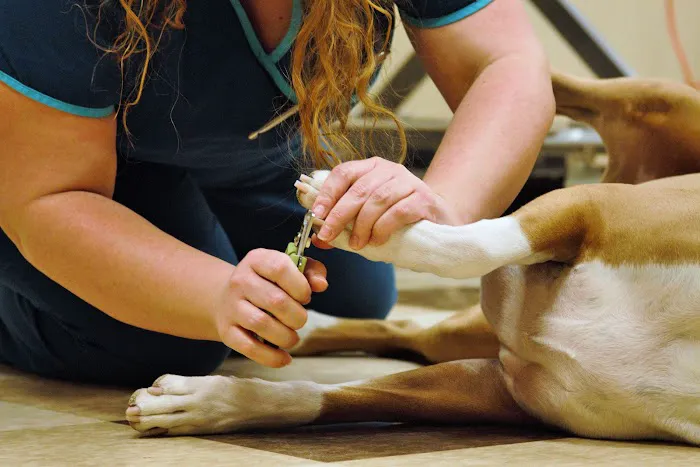 Oakland Hills Veterinary Hospital Picture 1