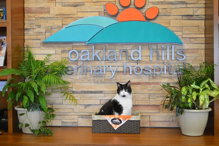 Oakland Hills Veterinary Hospital Picture 2
