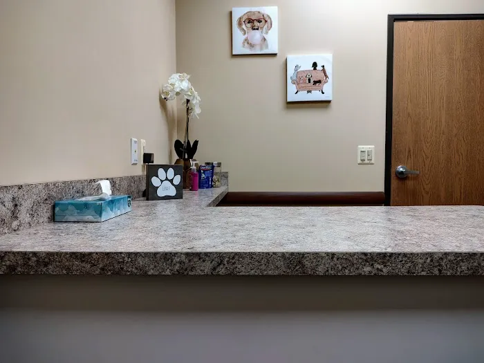 Veterinary Vision of Rochester Picture 2