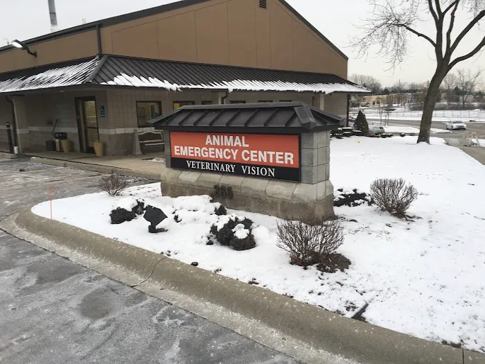 Veterinary Vision of Rochester Picture 7