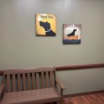 Animal Emergency Center - Rochester
