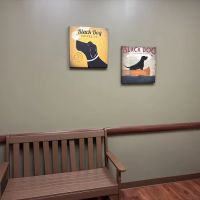 Animal Emergency Center - Rochester ico