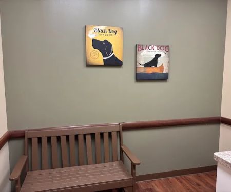 Animal Emergency Center - Rochester