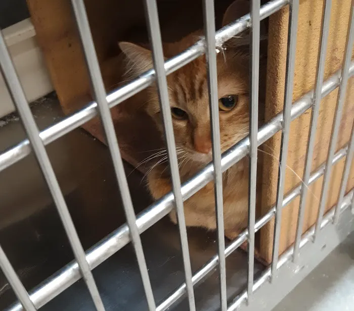 Banfield Pet Hospital Picture 1