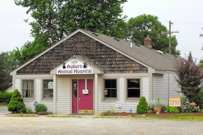 Auburn Animal Hospital Picture 5