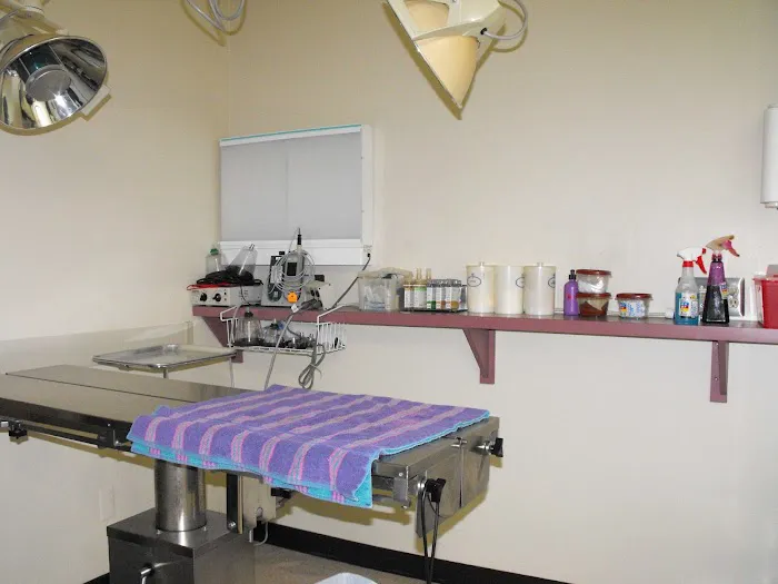 Auburn Animal Hospital Picture 1