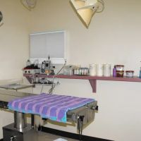 Auburn Animal Hospital ico