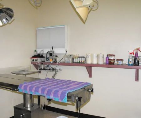 Auburn Animal Hospital