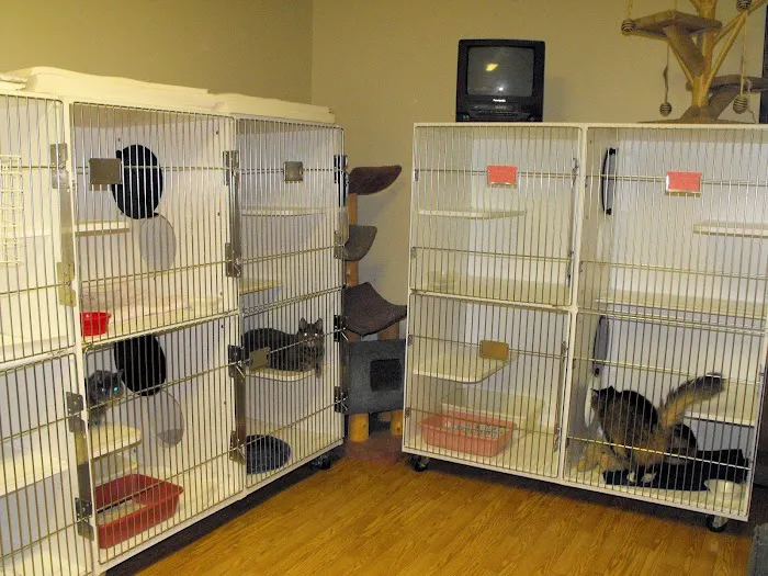 Auburn Animal Hospital Picture 9