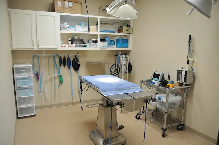 Town and Country Animal Clinic Picture 2