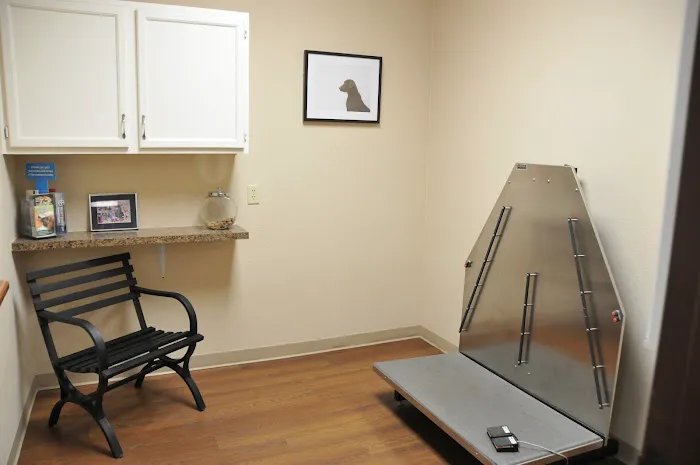 Town and Country Animal Clinic Picture 10