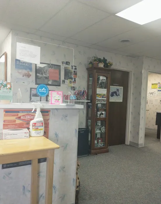 The Kitty Clinic Picture 8