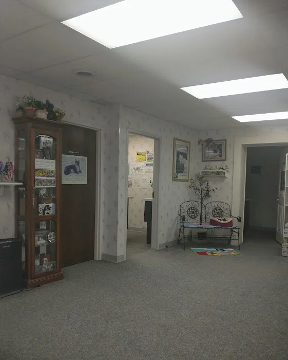 The Kitty Clinic Picture 10