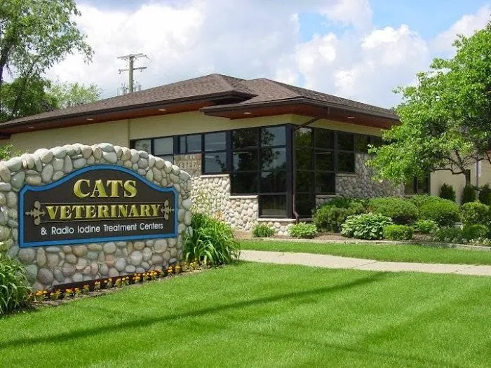 Cats Veterinary Picture 7
