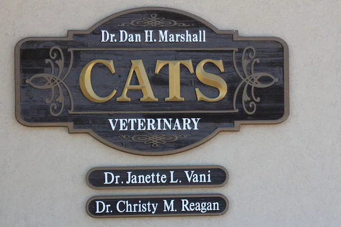 Cats Veterinary Picture 1