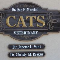 Cats Veterinary ico