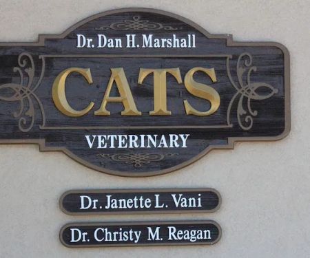 Cats Veterinary