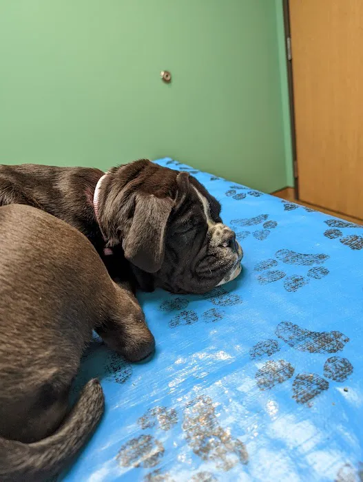 Creekside Animal Hospital Picture 2